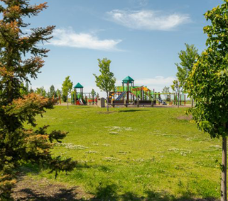 open green space and a playground area, which is located within the Perch at Mattson