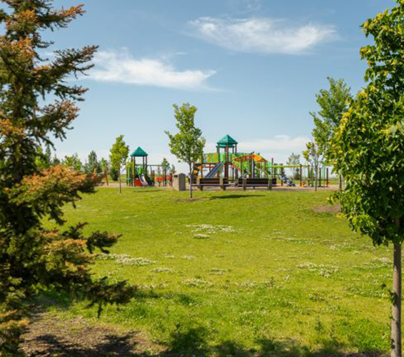 open green space and a playground area, which is located within the Perch at Mattson